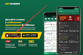 Betwinner A Complete Guide to Winning and Betting Strategies