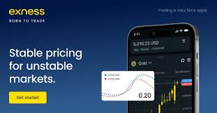 Understanding Exness Forex Regulatory Framework 6
