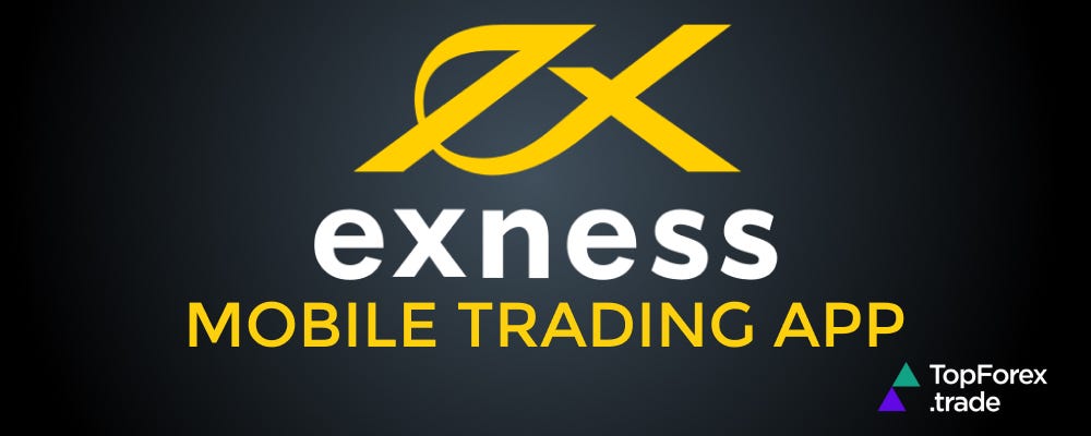 Understanding Exness Forex Regulatory Framework 6